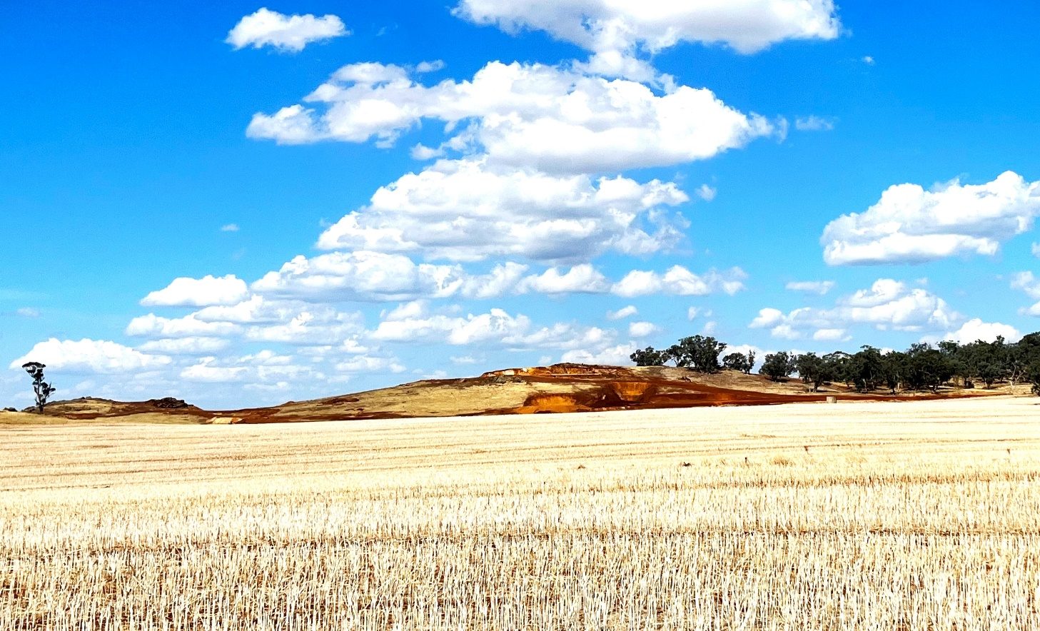The Golden Camel oxide deposit outcropping through farmland in Central Victoria under an open sky